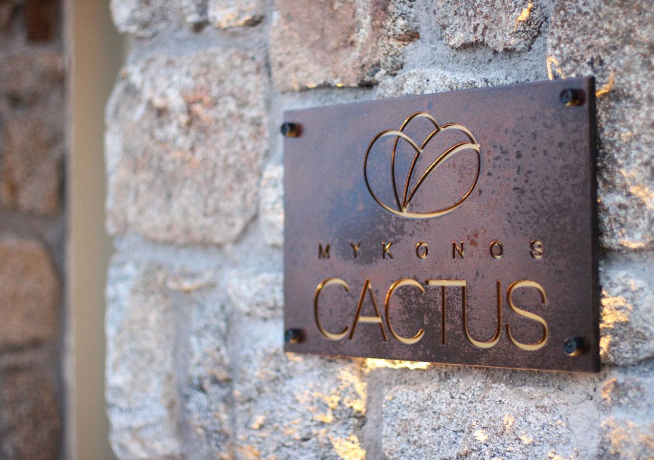 מלון אורנוס Mykonos Cactus מראה חיצוני תמונה